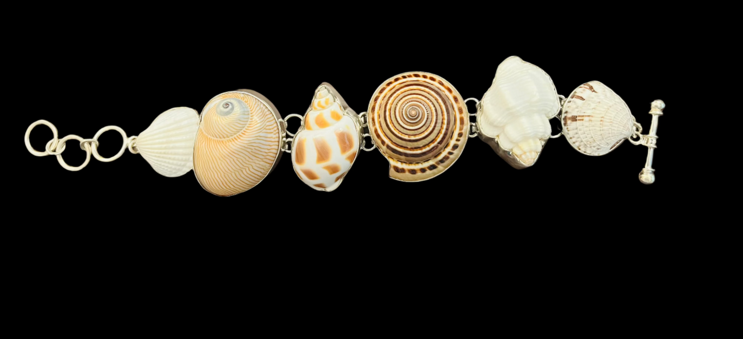 Shell Seeking Bracelet