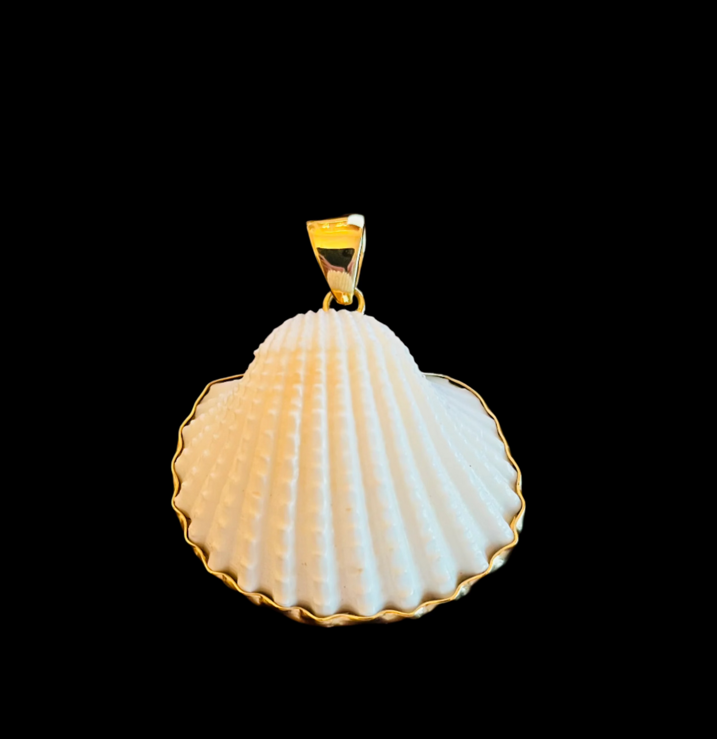 Pendant Ark Shell/ Alchemia