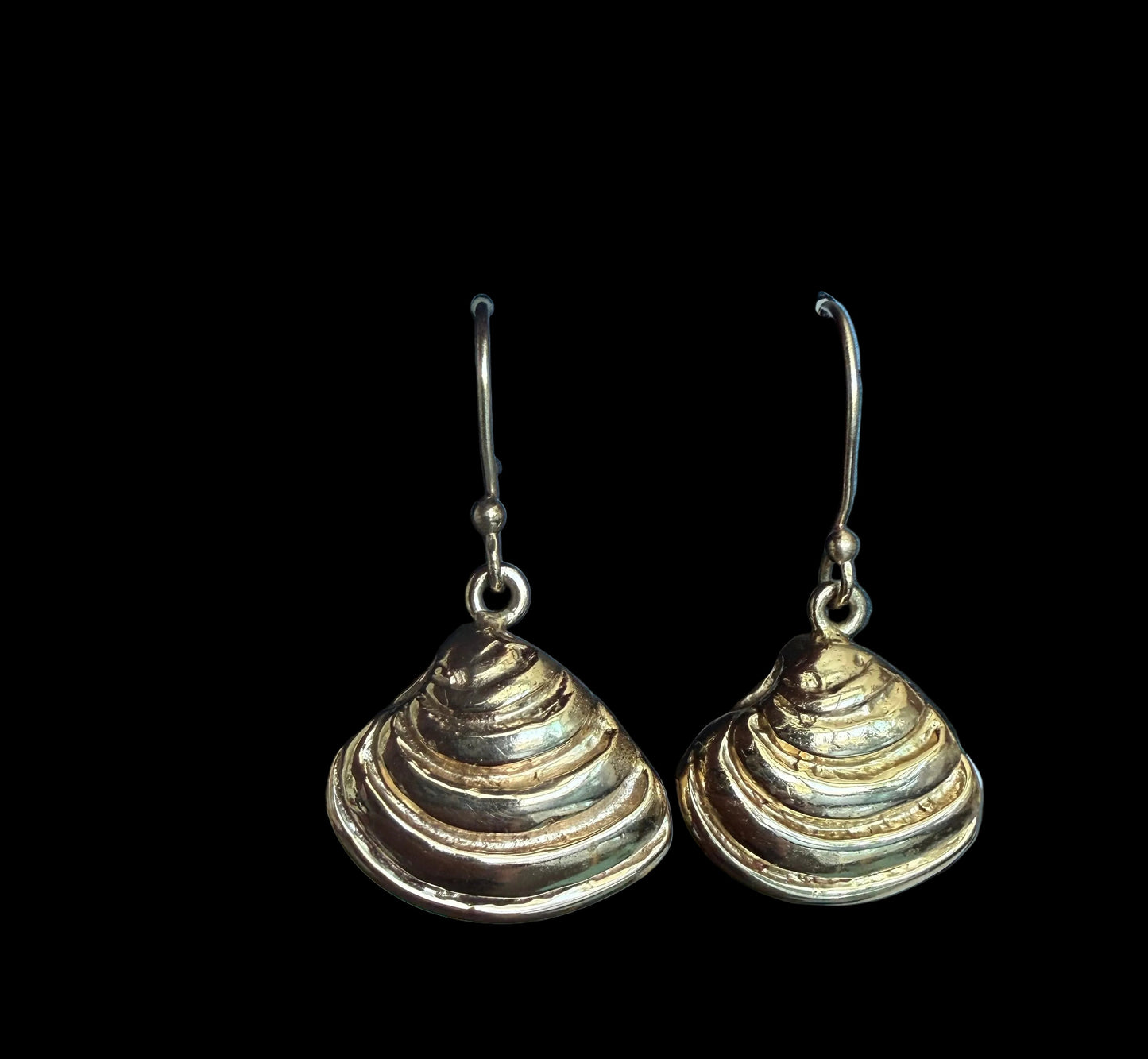 Earrings Pawley's Island Shell in Alchemia