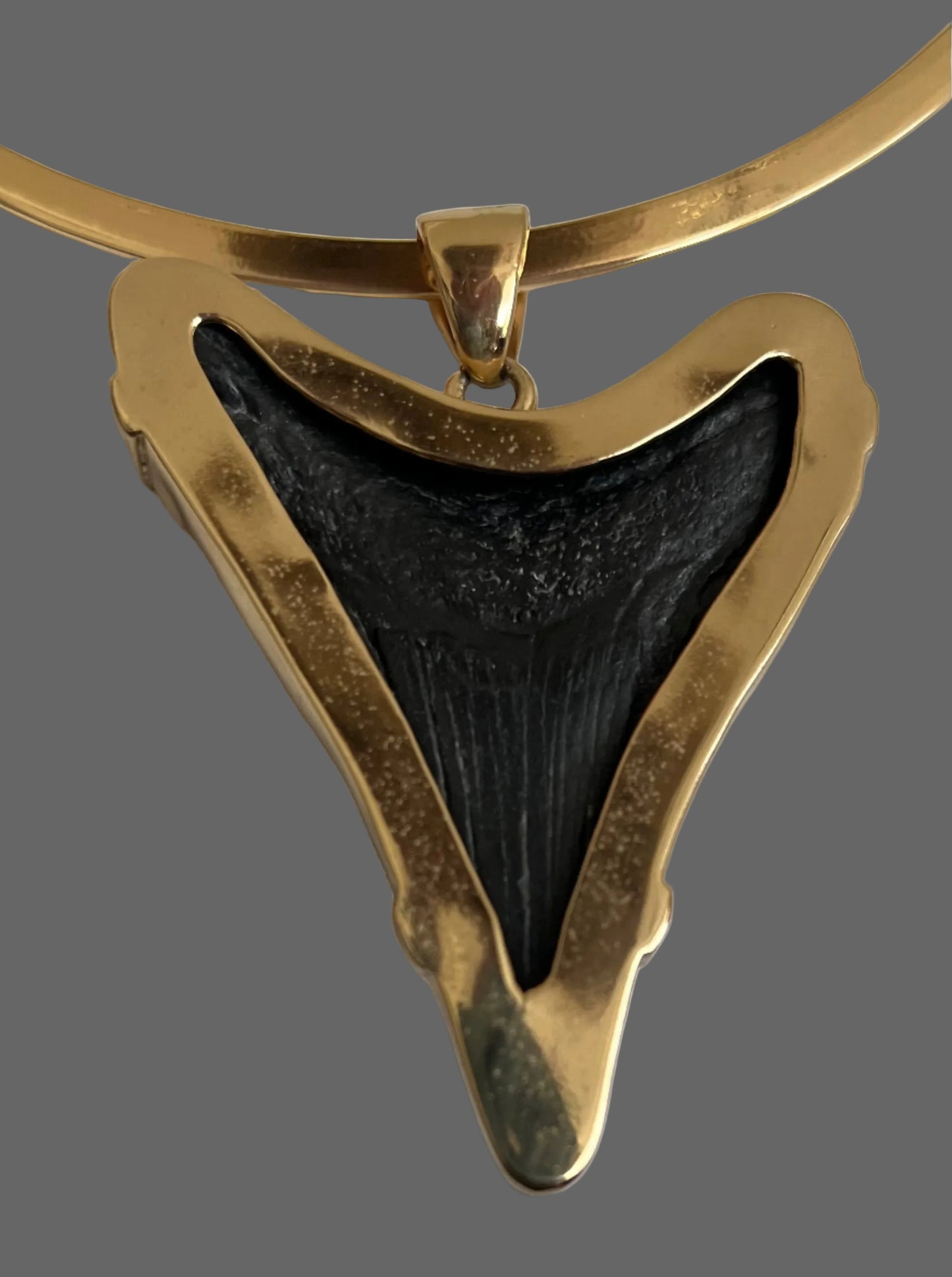 Pendant Shark Tooth