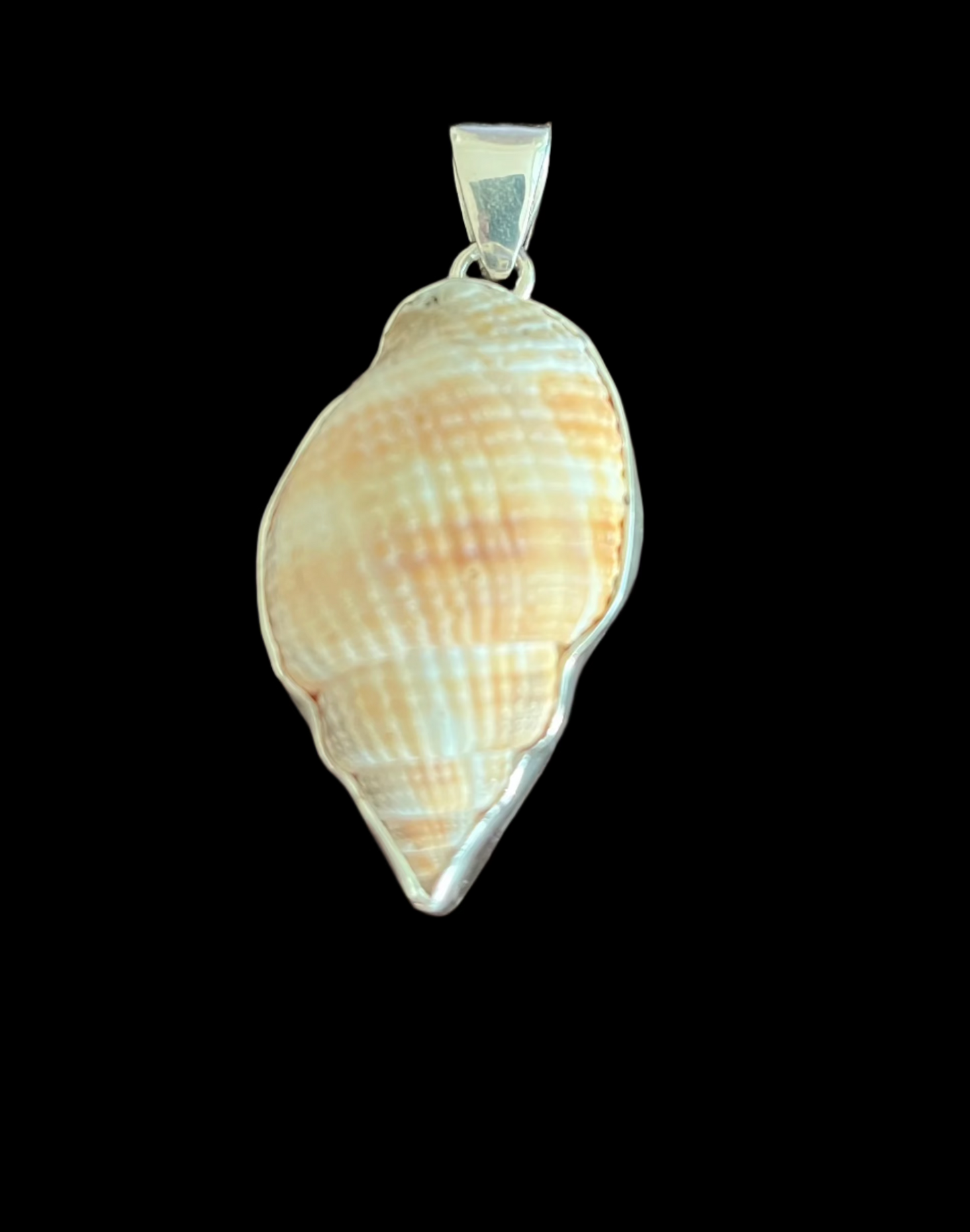 Pendant Shell/ Heavy silver
