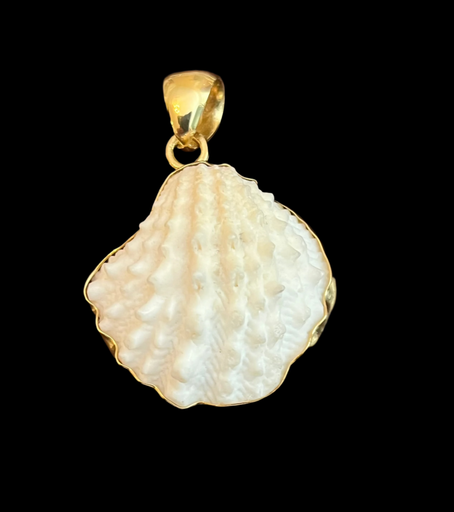Pendant Shell/Alchemia
