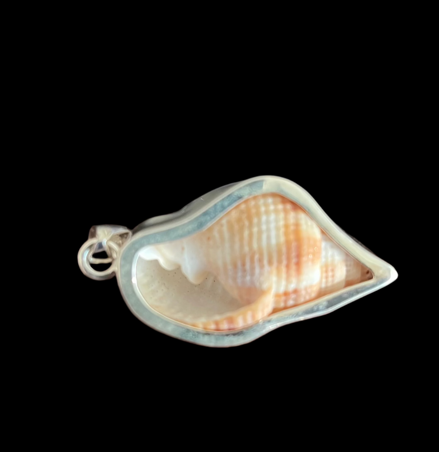 Pendant Shell/ Heavy silver
