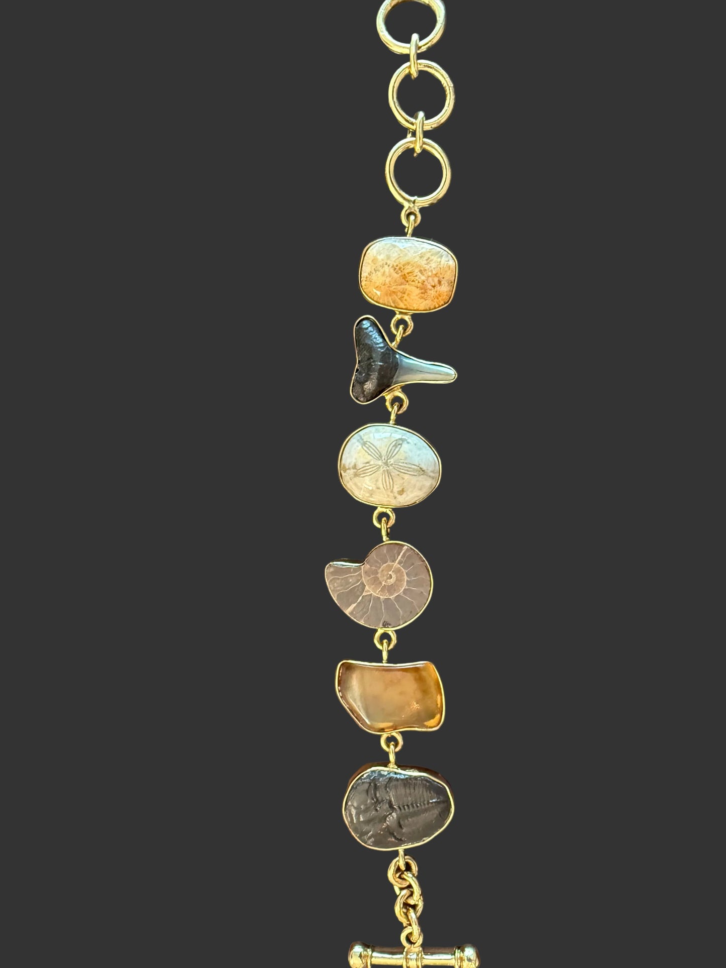 Bracelet of Fossils in Alchemia