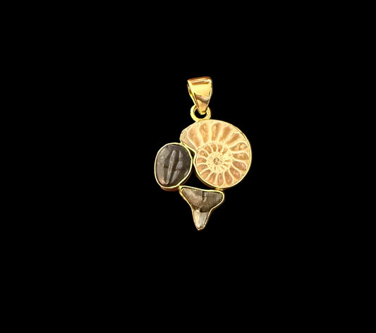 Pendant of Fossils