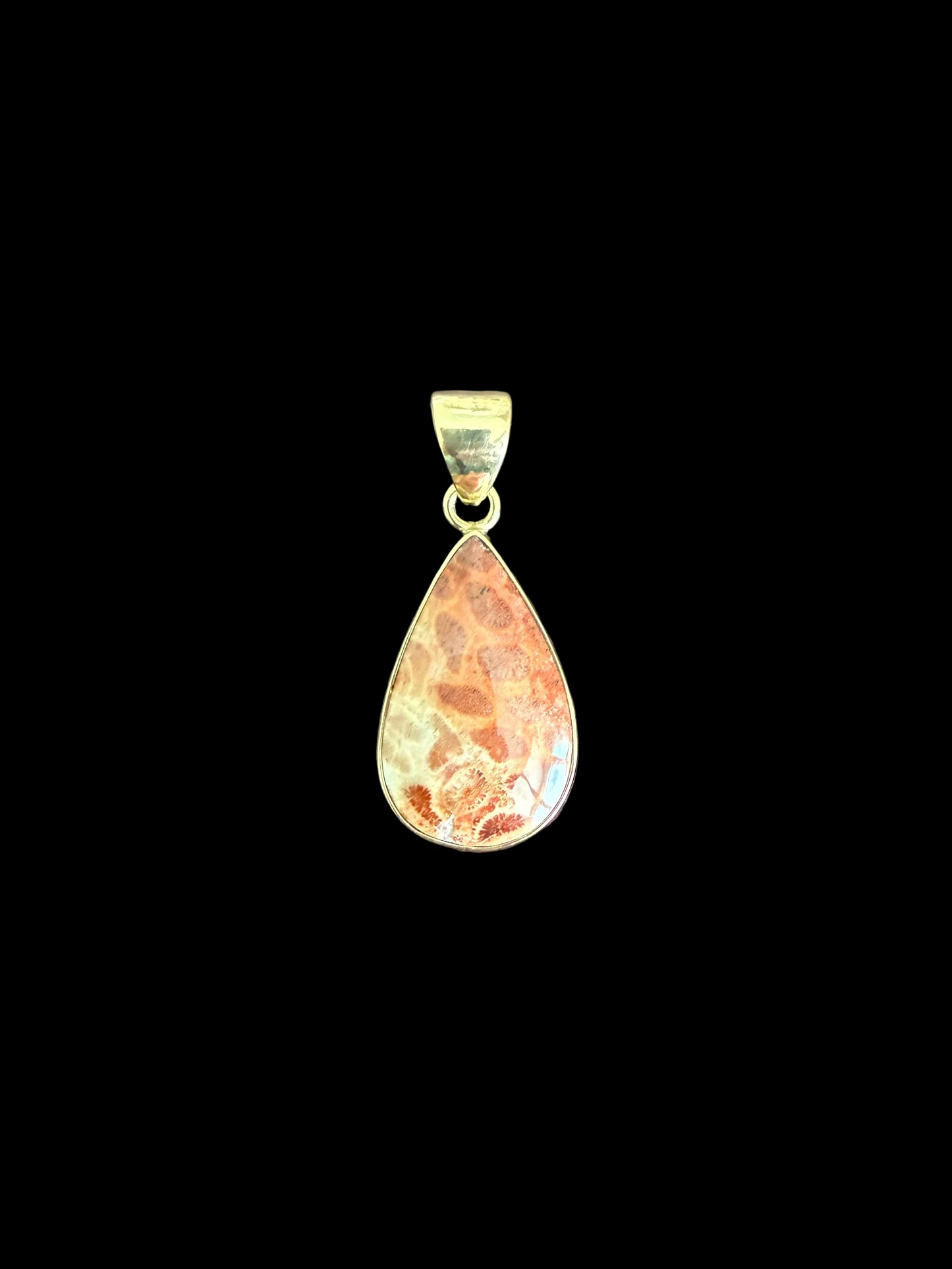 Pendant Coral Fossil