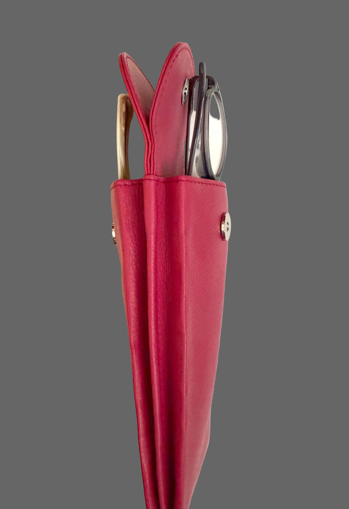 Leather Double Glass Case