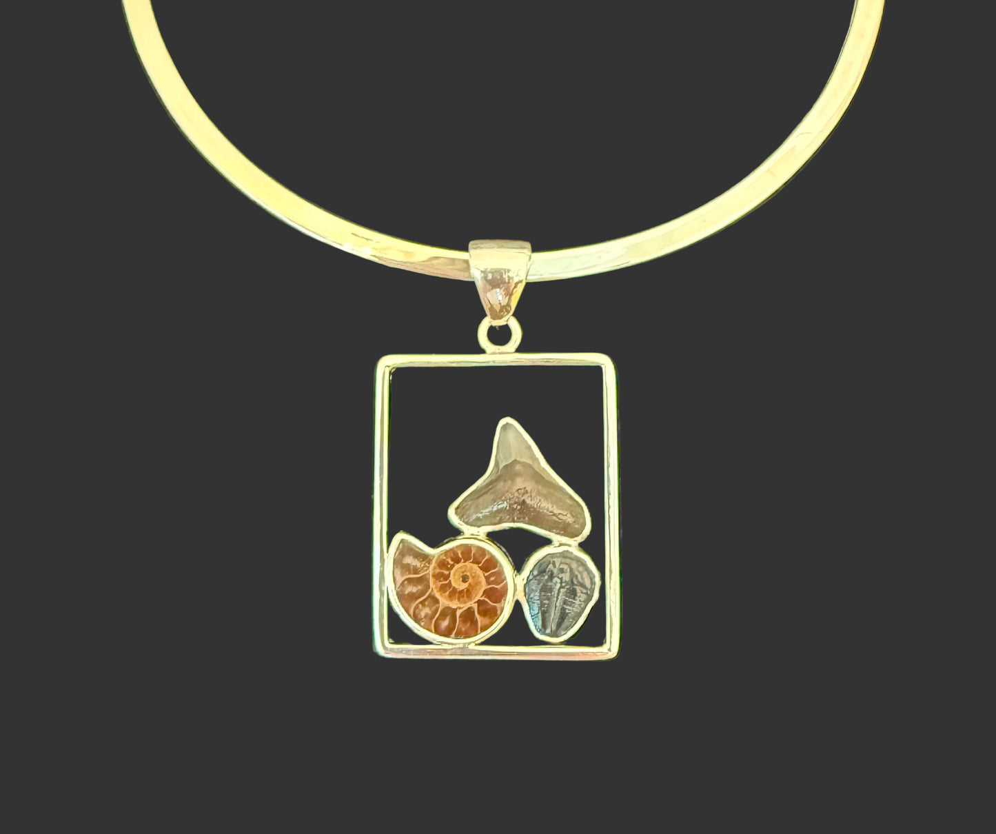 Proud To Be A Fossil