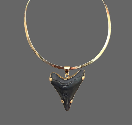 Pendant Shark Tooth